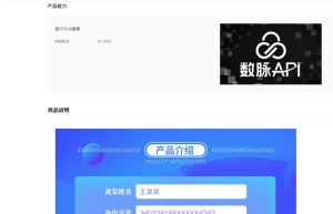 【数脉API】银行卡三要素-银行卡四要素-银行卡三四要素实名核验查询-非身份证版