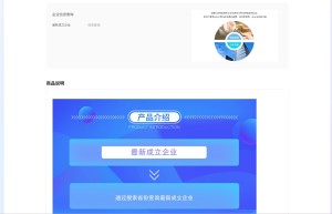 【数脉API】最新成立企业-企业信息查询
