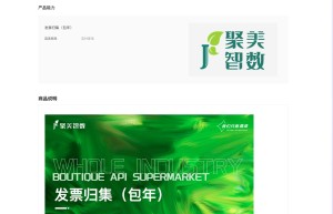 【聚美智数】企业发票归集-发票开票记录查询（包年）