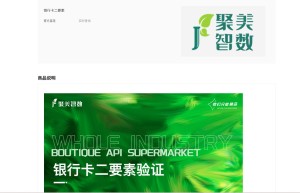 【聚美智数】银行卡二要素-银行卡二要素实名-银行卡二要素认证-银行卡二要素验证-银行卡二要素实名认证Ⅰ