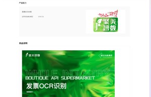 高品质发票OCR识别-发票OCR识别-增值税发票OCR-OCR发票识别-发票OCR-发票图片识别-发票文字识别-发票图像...