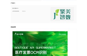 【聚美智数】全国医疗发票OCR识别-住院发票OCR识别-专业医疗发票识别