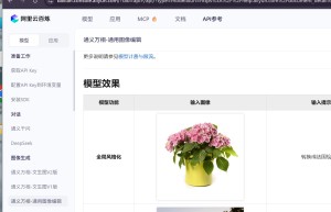 通义万相-通用图像编辑
