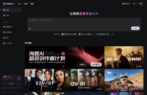 海螺 AI Video