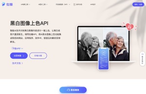 黑白图像上色API