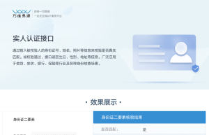 身份证2要素银行卡234要素实名核验-企业专享