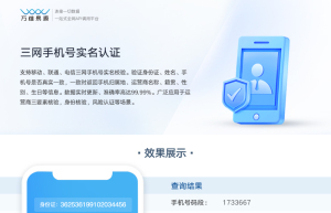 三网手机号实名认证