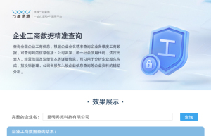 企业工商数据精准查询