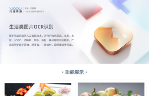 生活类图片OCR识别