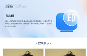 盲水印