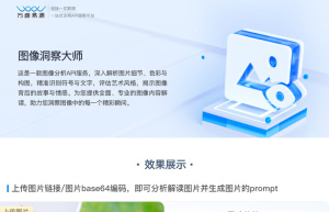 图像洞察大师