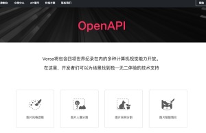 Versa OpenAPI