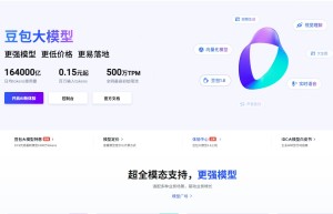 Doubao语言大模型API